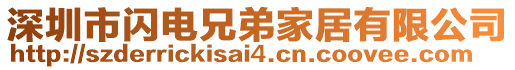 深圳市閃電兄弟家居有限公司