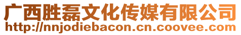 廣西勝磊文化傳媒有限公司