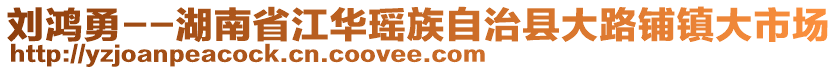 劉鴻勇--湖南省江華瑤族自治縣大路鋪鎮大市場