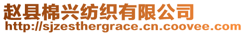 趙縣棉興紡織有限公司