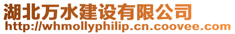 湖北萬水建設有限公司