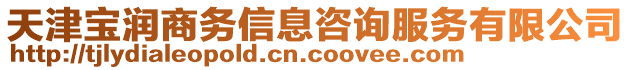 天津?qū)殱?rùn)商務(wù)信息咨詢(xún)服務(wù)有限公司