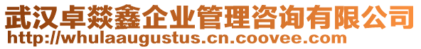 武漢卓燚鑫企業(yè)管理咨詢有限公司