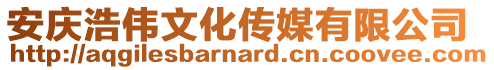 安庆浩伟文化传媒有限公司