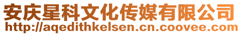 安慶星科文化傳媒有限公司