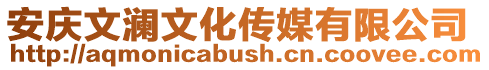 安慶文瀾文化傳媒有限公司