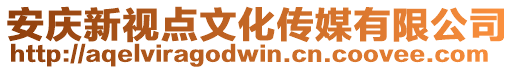 安庆新视点文化传媒有限公司