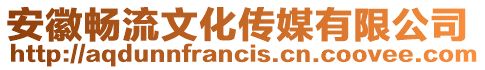 安徽暢流文化傳媒有限公司