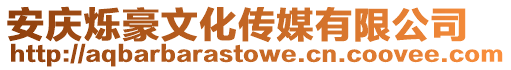安慶爍豪文化傳媒有限公司