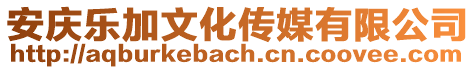 安慶樂加文化傳媒有限公司