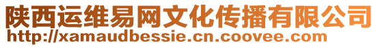 陜西運維易網文化傳播有限公司