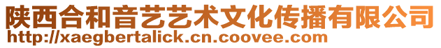 陜西合和音藝藝術(shù)文化傳播有限公司