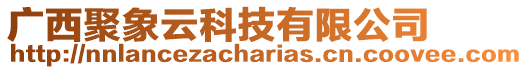 廣西聚象云科技有限公司