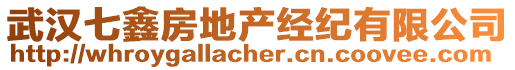 武漢七鑫房地產(chǎn)經(jīng)紀有限公司