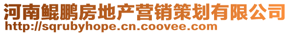 河南鯤鵬房地產營銷策劃有限公司