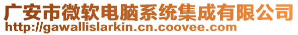 廣安市微軟電腦系統集成有限公司