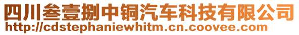 四川叁壹捌中銅汽車科技有限公司