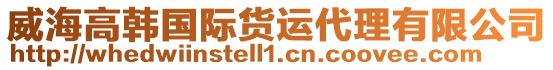 威海高韓國際貨運代理有限公司