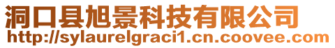 洞口縣旭景科技有限公司