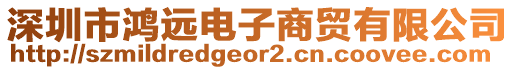 深圳市鸿远电子商贸有限公司