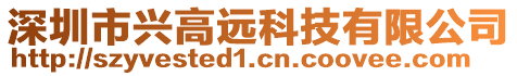 深圳市興高遠(yuǎn)科技有限公司