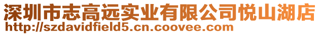 深圳市志高远实业有限公司悦山湖店