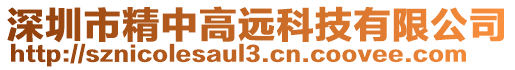 深圳市精中高遠科技有限公司