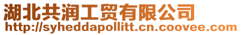 湖北共潤工貿有限公司