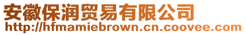 安徽保潤貿易有限公司