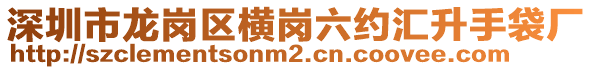 深圳市龍崗區橫崗六約匯升手袋廠