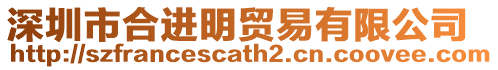 深圳市合進明貿易有限公司