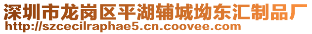 深圳市龍崗區平湖輔城坳東匯制品廠