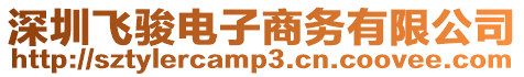 深圳飛駿電子商務有限公司