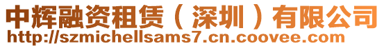 中輝融資租賃(深圳)有限公司