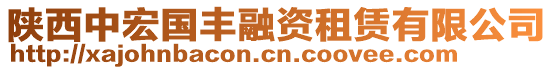 陜西中宏國豐融資租賃有限公司