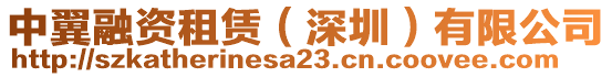 中翼融資租賃（深圳）有限公司