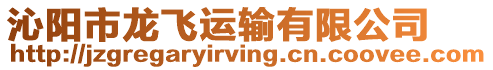 沁陽市龍飛運輸有限公司