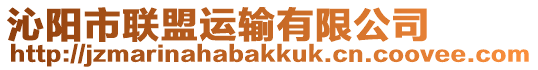 沁陽市聯盟運輸有限公司