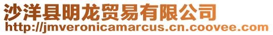沙洋縣明龍貿易有限公司
