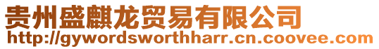 貴州盛麒龍貿易有限公司