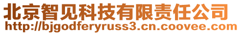 北京智見科技有限責任公司