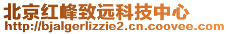 北京紅峰致遠科技中心