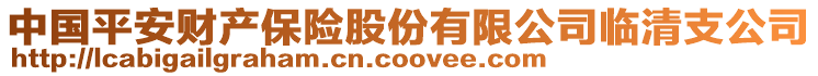 中國平安財產保險股份有限公司臨清支公司