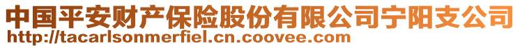 中國平安財(cái)產(chǎn)保險(xiǎn)股份有限公司寧陽支公司