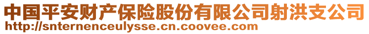 中國平安財產保險股份有限公司射洪支公司