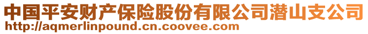 中國(guó)平安財(cái)產(chǎn)保險(xiǎn)股份有限公司潛山支公司