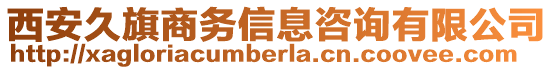 西安久旗商務信息咨詢有限公司