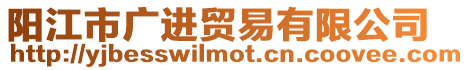 陽江市廣進貿易有限公司