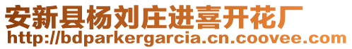 安新縣楊劉莊進喜開花廠