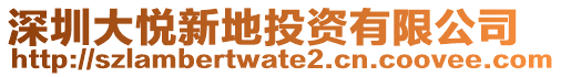 深圳大悅新地投資有限公司